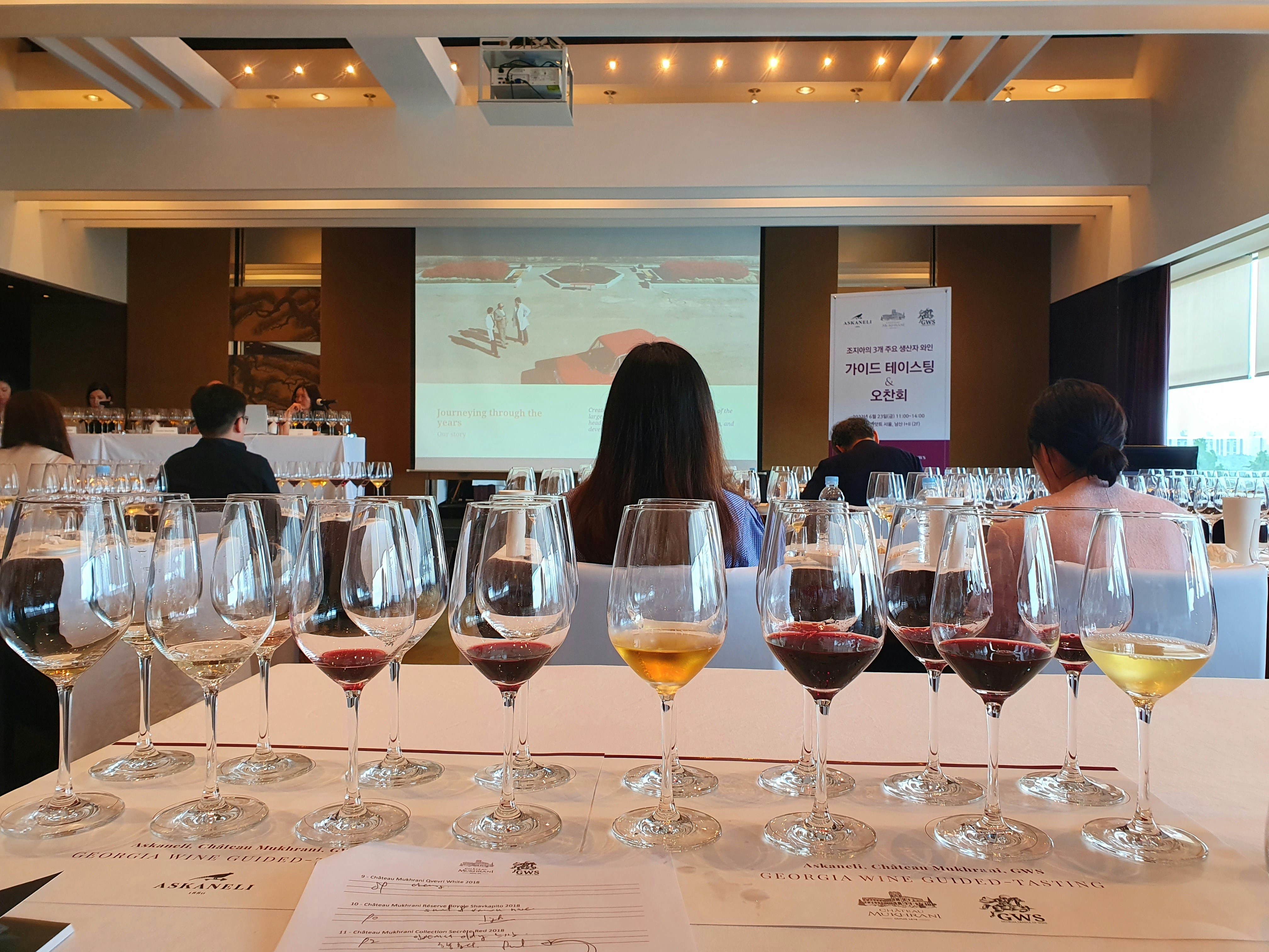 Come Degustare il Vino: Guida Completa ai Sensi